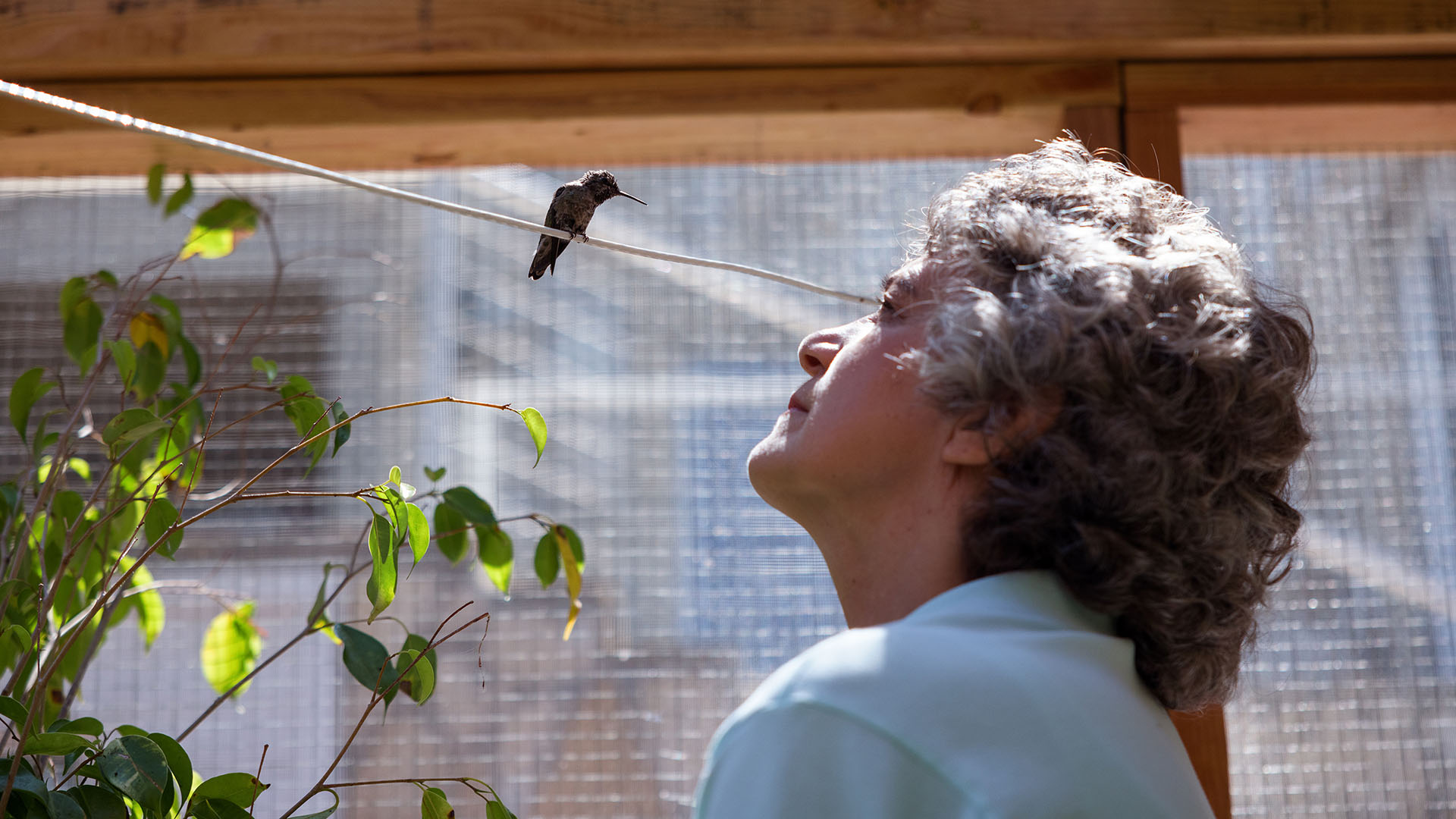 Image of Watch: Sally Aitken&rsquo;s 'Every Little Thing' Heals More Than Just Hummingbirds article